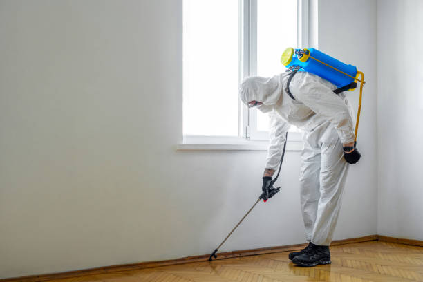  Crescent City, CA Pest Control Pros