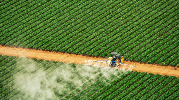 Best Mosquito Control Services  in Crescent City, CA