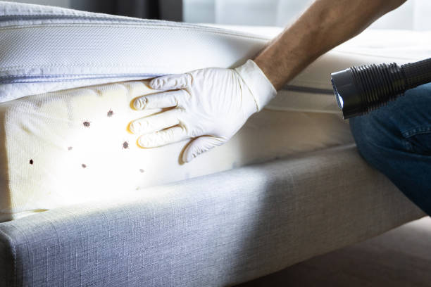 Best Commercial Pest Control Services  in Crescent City, CA