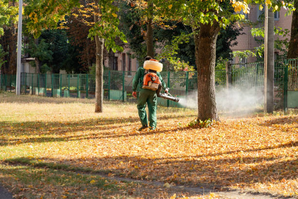 Best Emergency Pest Control  in Crescent City, CA
