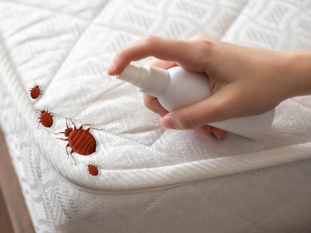 Best Pest Control for Homes  in Crescent City, CA