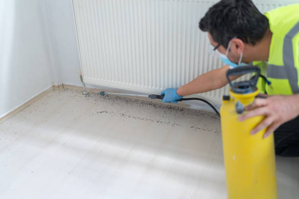 Trusted Crescent City, CA Pest Control Experts