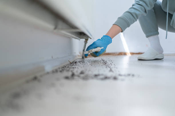 Best Pest Control Near Me  in Crescent City, CA